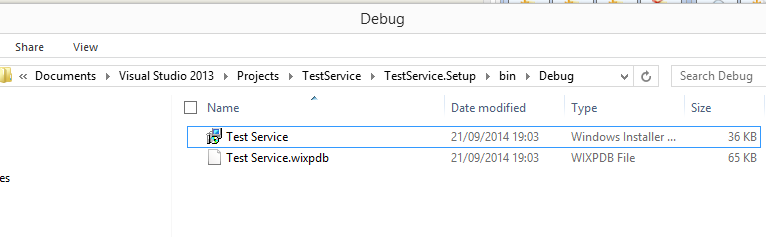 Build WiX Setup Package